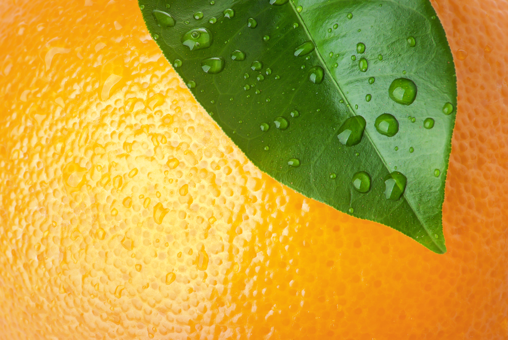 All you should know about vitamin C